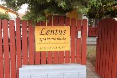 lentus